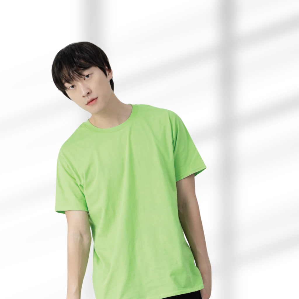 T-Shirt Softstyle 150gsm Unisex 63000 | Artiztee