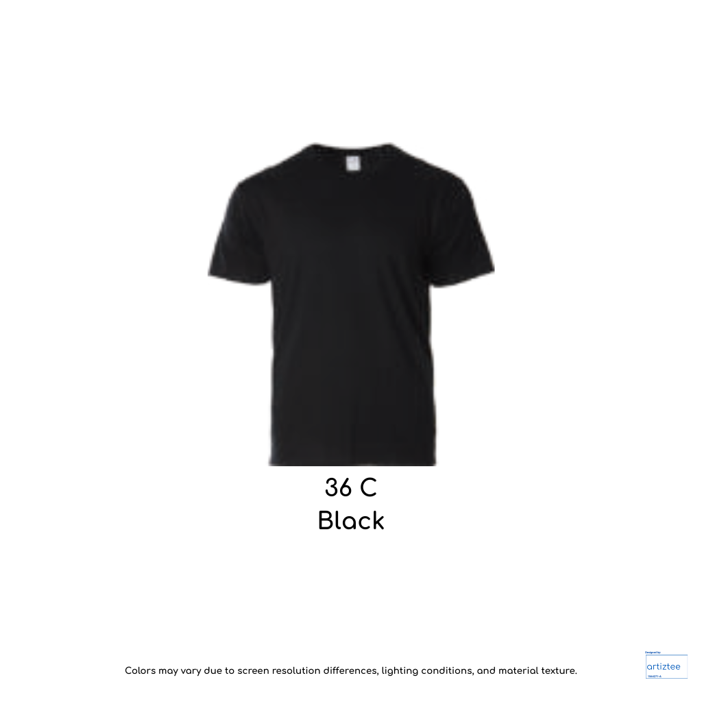 Heavyweight T-Shirt Unisex 210gsm Black 36C HA00