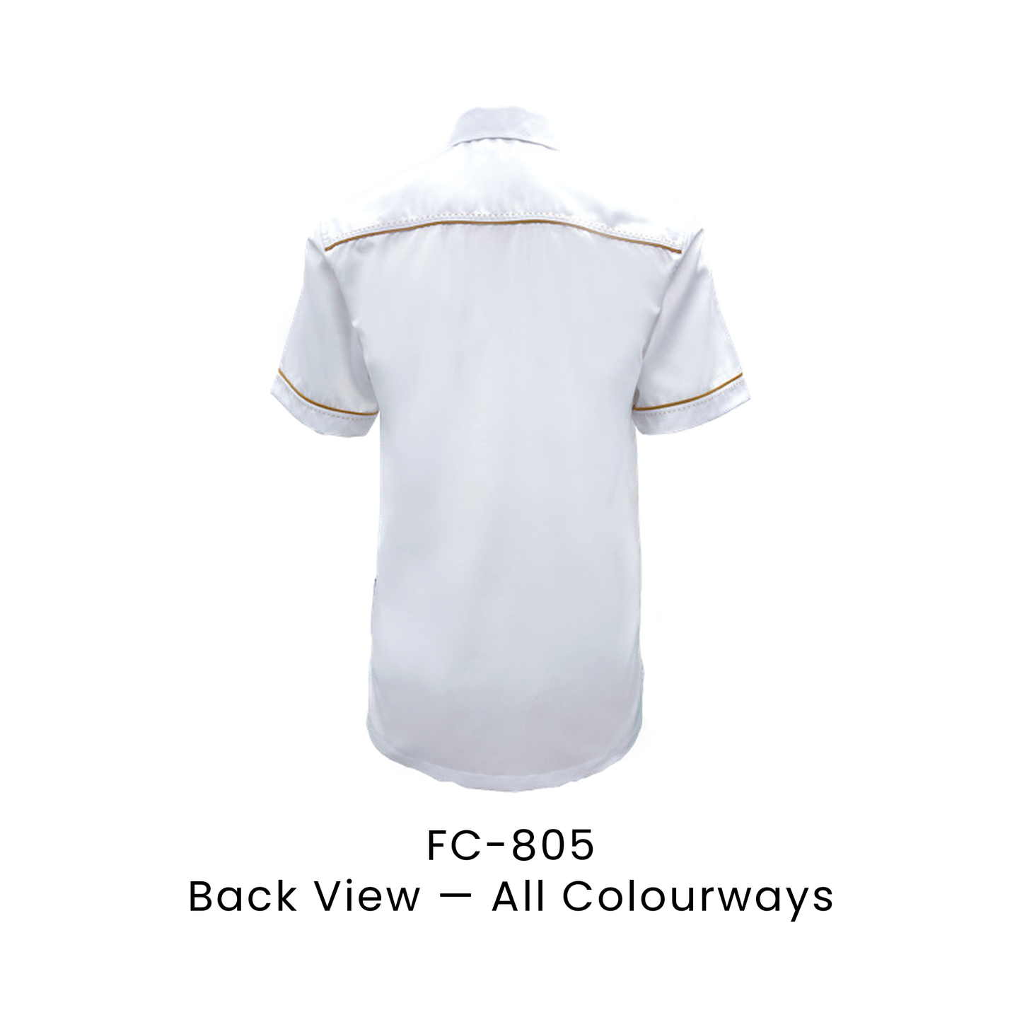 Corporate Uniform - Unisex Short Sleeve 170gsm | Back view, shared across all colourways — the trim colour shown is one example | FC-805 | Artiztee